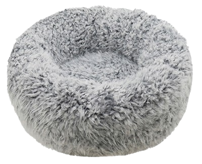 402136-removebg-preview