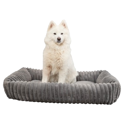 452931_04-removebg-preview