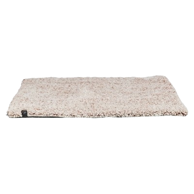 452951-removebg-preview