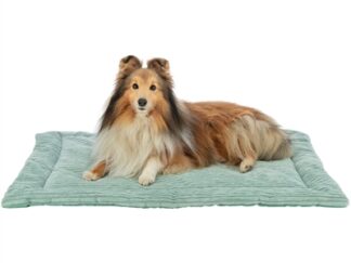 Trixie Ligmat Jonna Ribfluweel Saliegroen