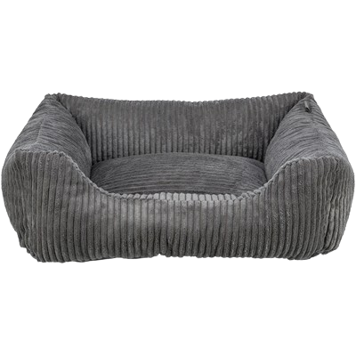 454722-removebg-preview