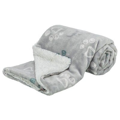 454762-removebg-preview