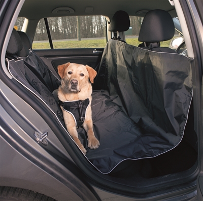 reizen hond blog